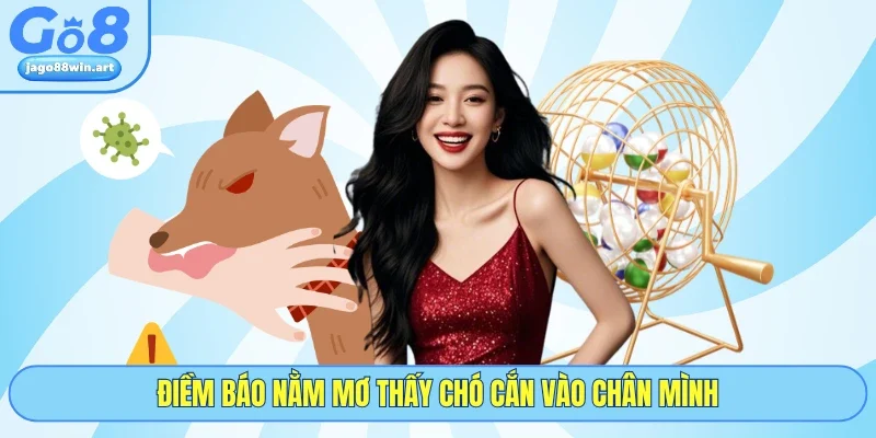 Nằm Mơ Thấy Chó Cắn Có Điểm Gì? Giải Mã Chi Tiết Tại GO8 2 Điềm báo nằm mơ thấy chó cắn vào chân mình